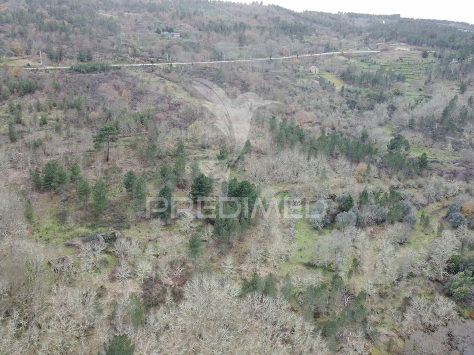 Farm hus i Celorico da Beira, Guarda - foto 2