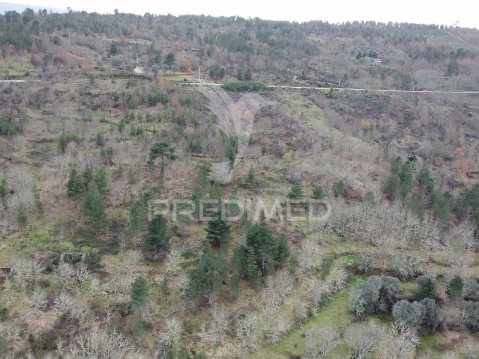 Farm hus i Celorico da Beira, Guarda - foto 3