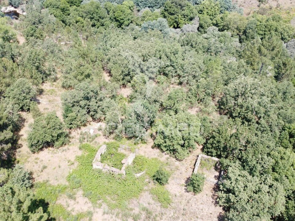 Farm hus i Celorico da Beira, Guarda - foto 4