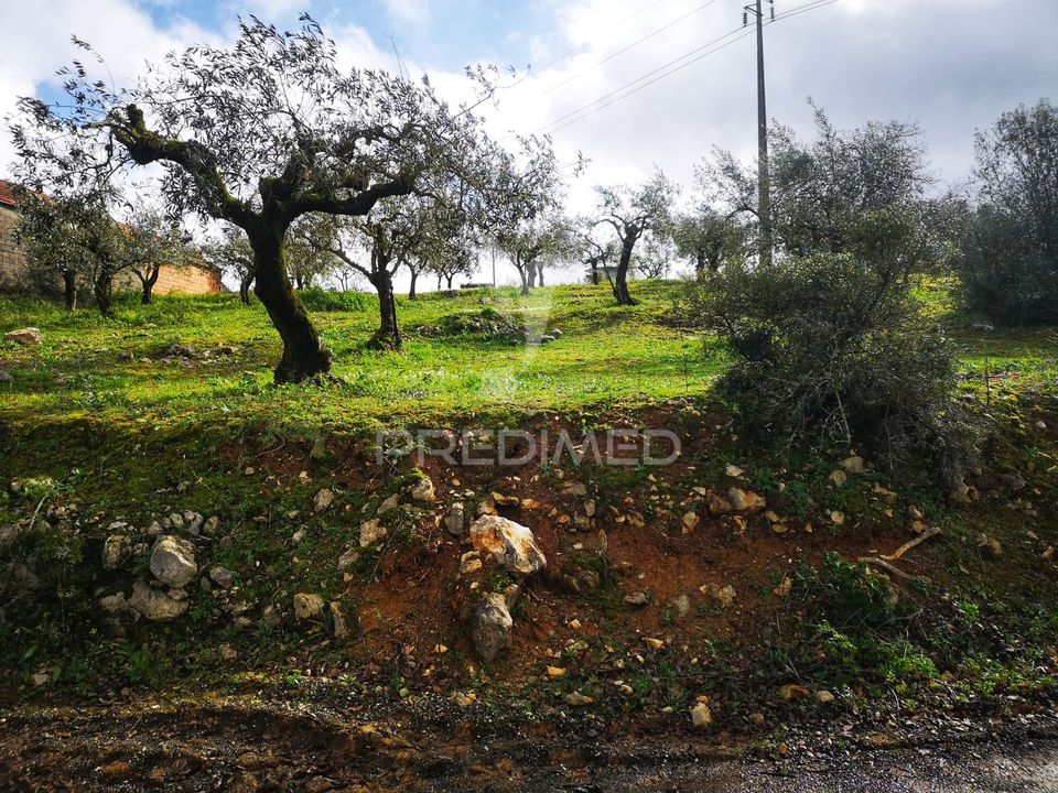 Helårsgrund i Leiria, Leiria - foto 2