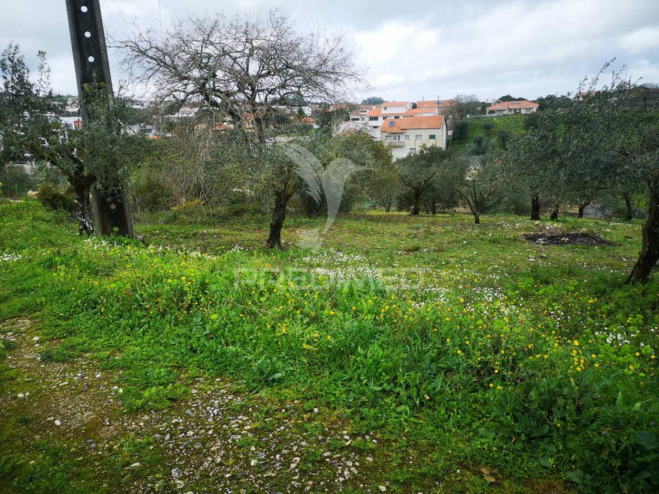 Helårsgrund i Leiria, Leiria - foto 5