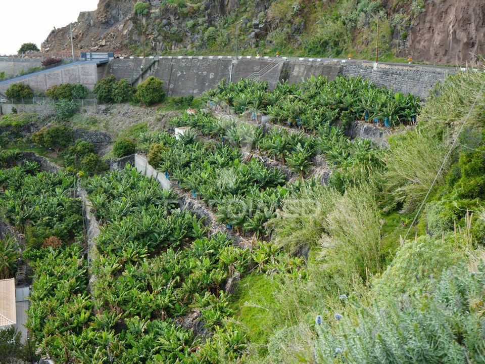 Helårsgrund i Calheta, Madeira - foto 1