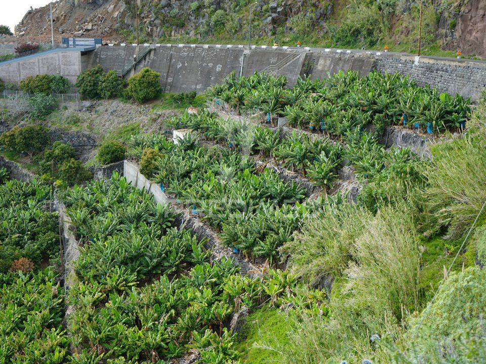 Helårsgrund i Calheta, Madeira - foto 3