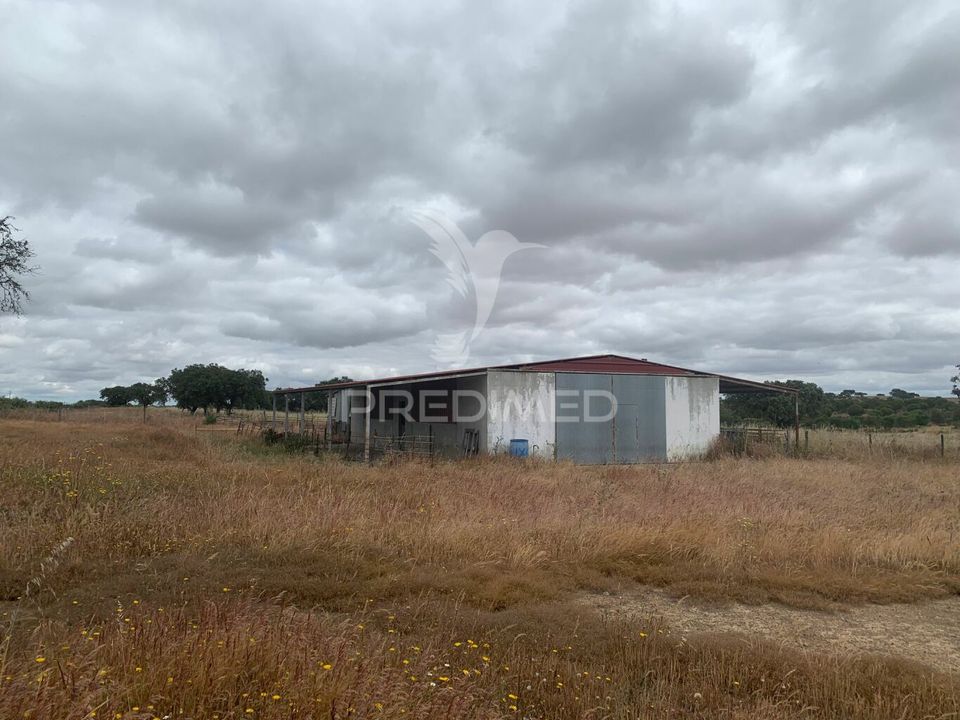 Masia a Almodovar, Beja - foto 2
