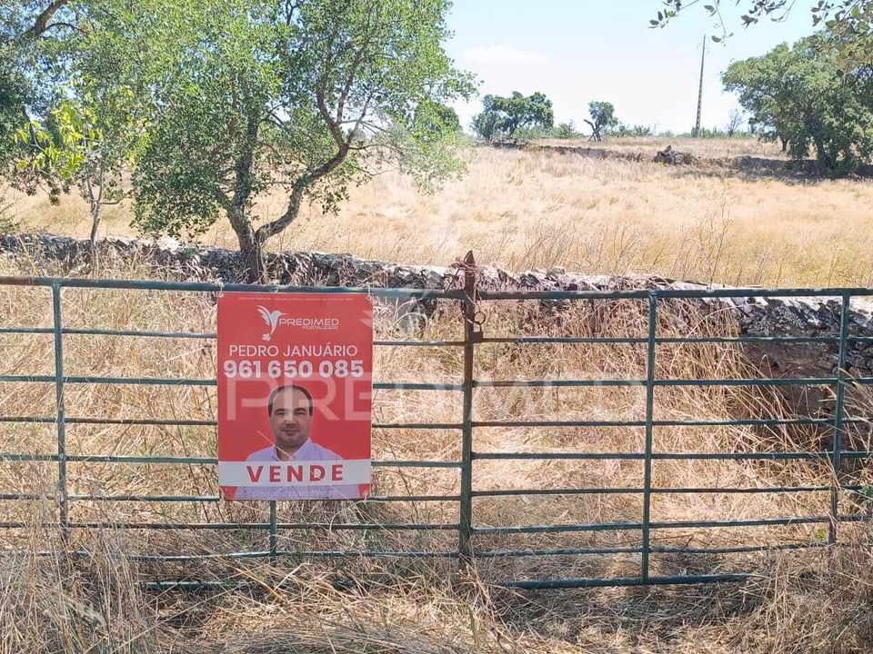 Helårsgrund i Nisa, Portalegre - foto 1