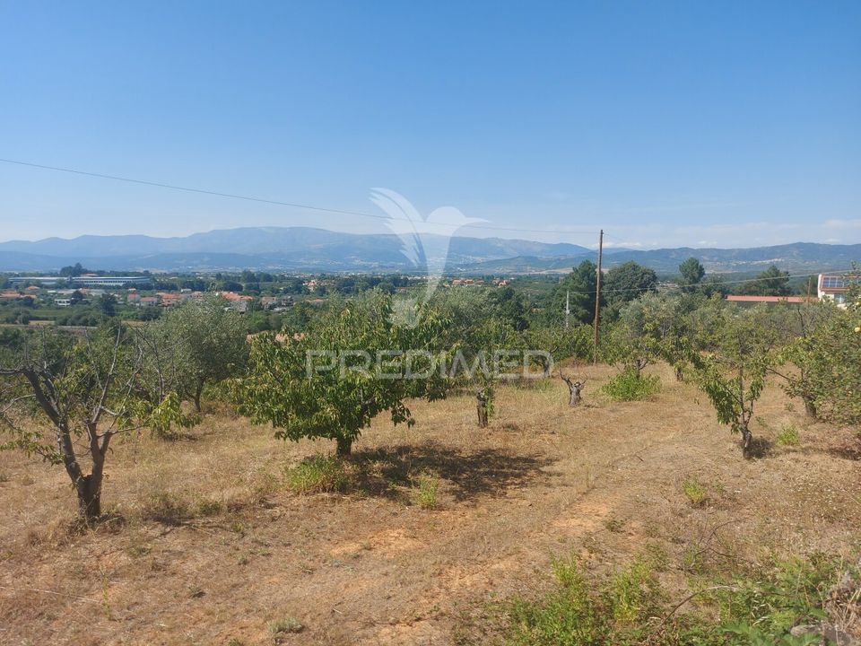 Farm hus i Fundao, Castelo Branco - foto 1
