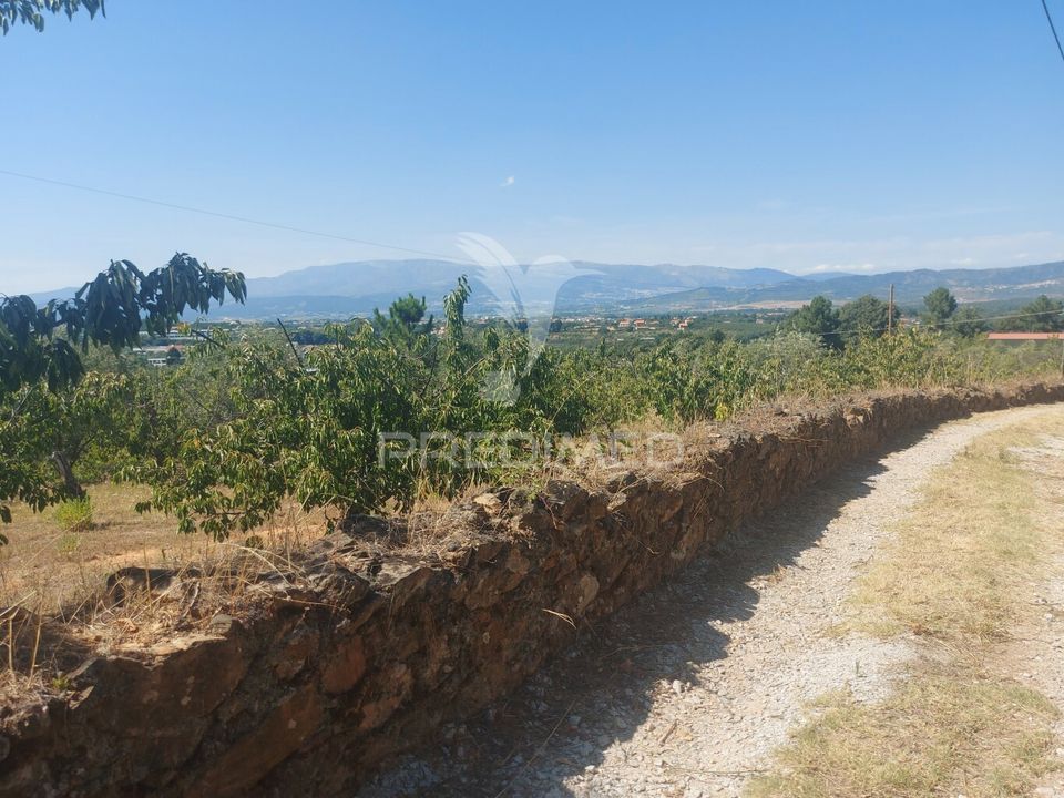 Farm hus i Fundao, Castelo Branco - foto 2