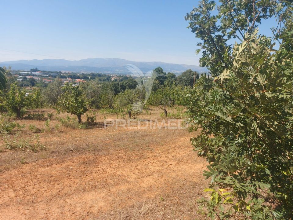 Farm hus i Fundao, Castelo Branco - foto 3