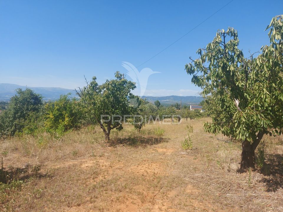 Farm hus i Fundao, Castelo Branco - foto 4