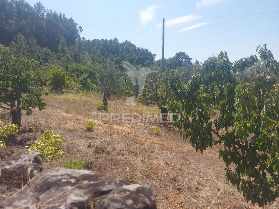 Farm hus i Fundao, Castelo Branco - foto 5