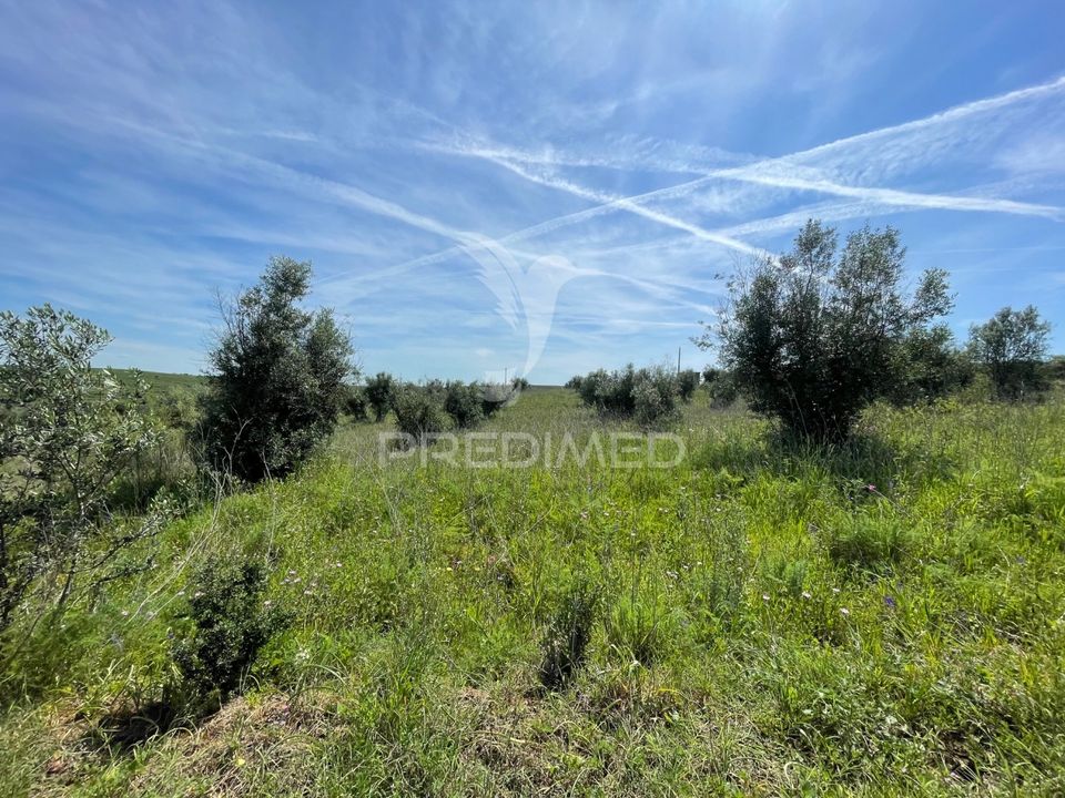 Tomt i Avis, Portalegre - bilde 3