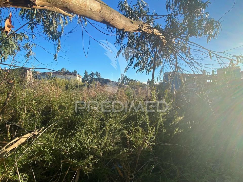 Helårsgrund i Rio Maior, Santarem - foto 2