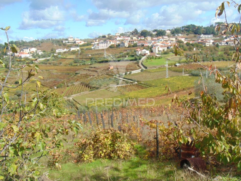 Masia a Vila Real, Vila Real - foto 5