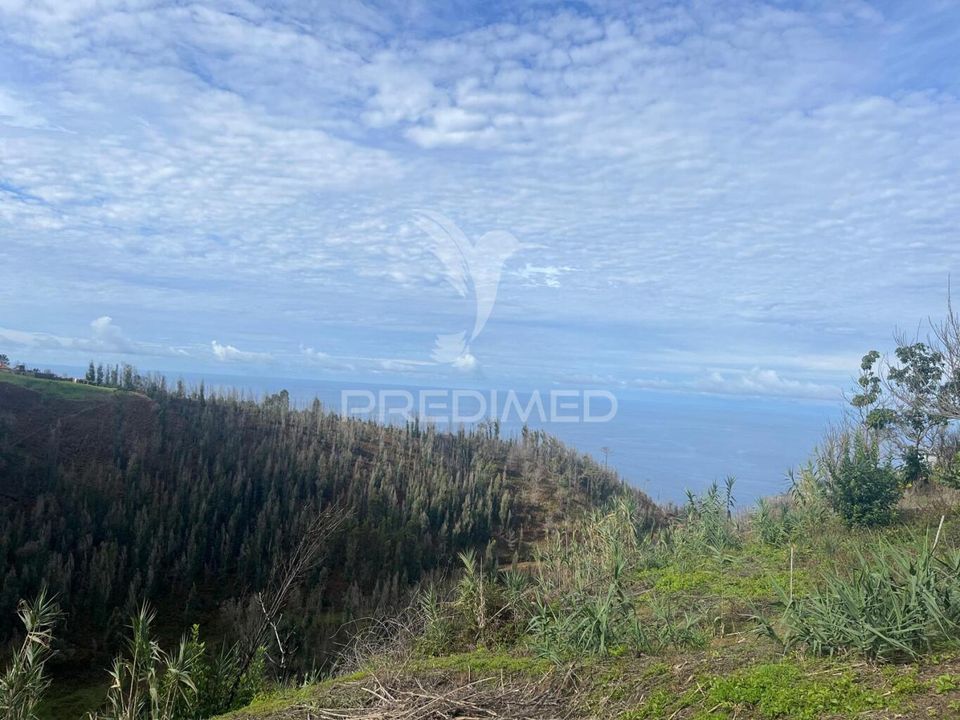 Byhus i Calheta, Madeira - foto 1