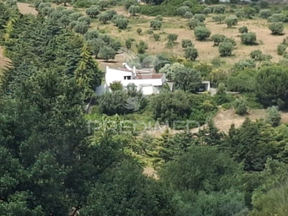Byhus i Santarem, Santarem - foto 1