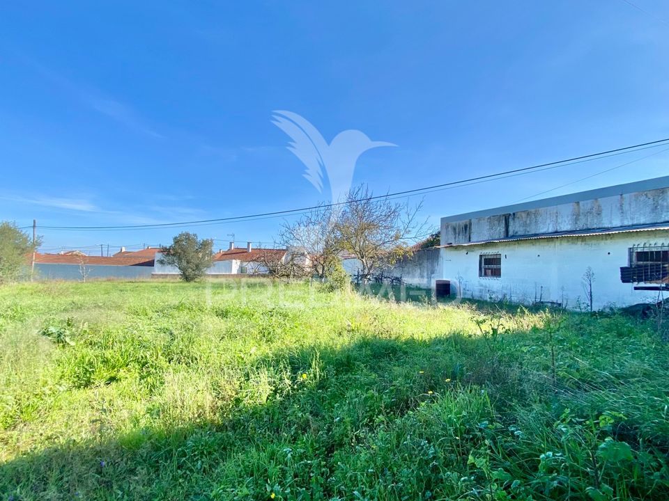 Helårsgrund i Rio Maior, Santarem - foto 2