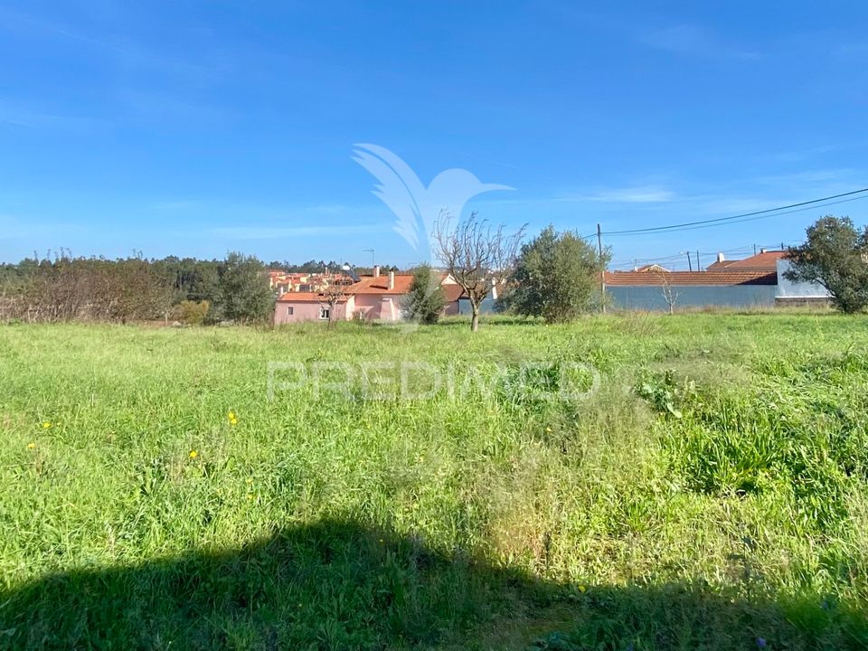 Helårsgrund i Rio Maior, Santarem - foto 3