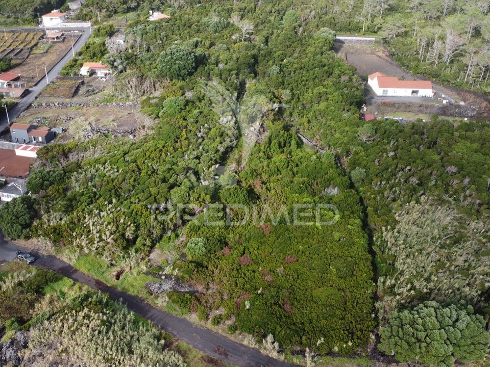 Helårsgrund i Madalena, Pico - foto 2