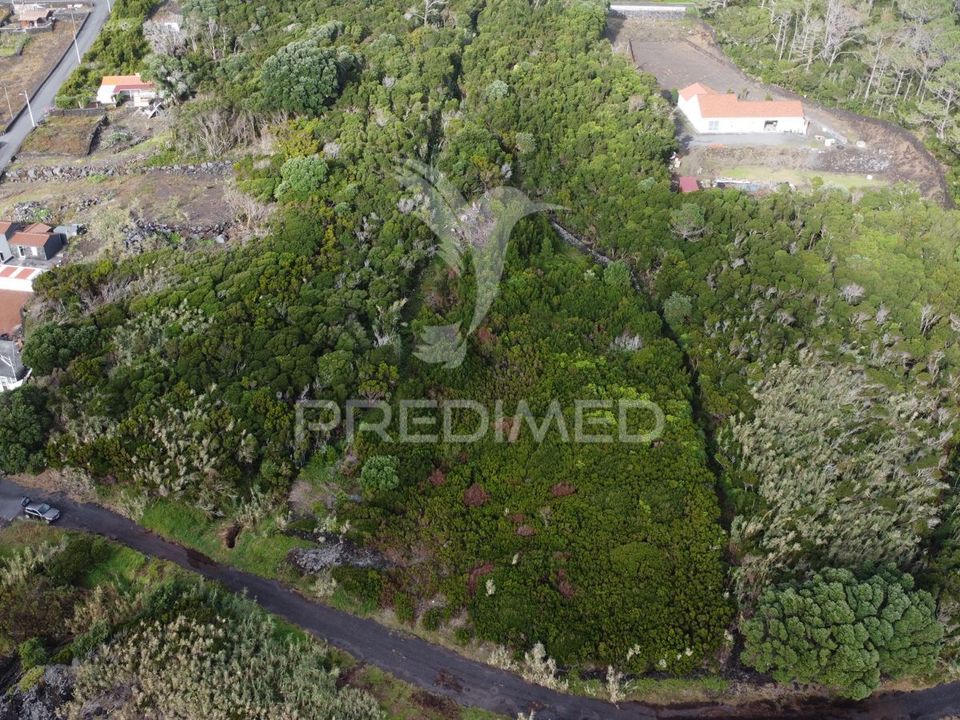 Helårsgrund i Madalena, Pico - foto 4