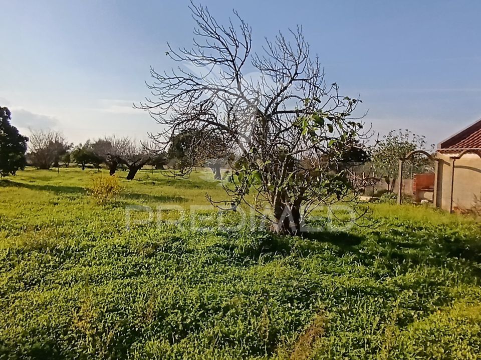 Helårsgrund i Palmela, Setubal - foto 1