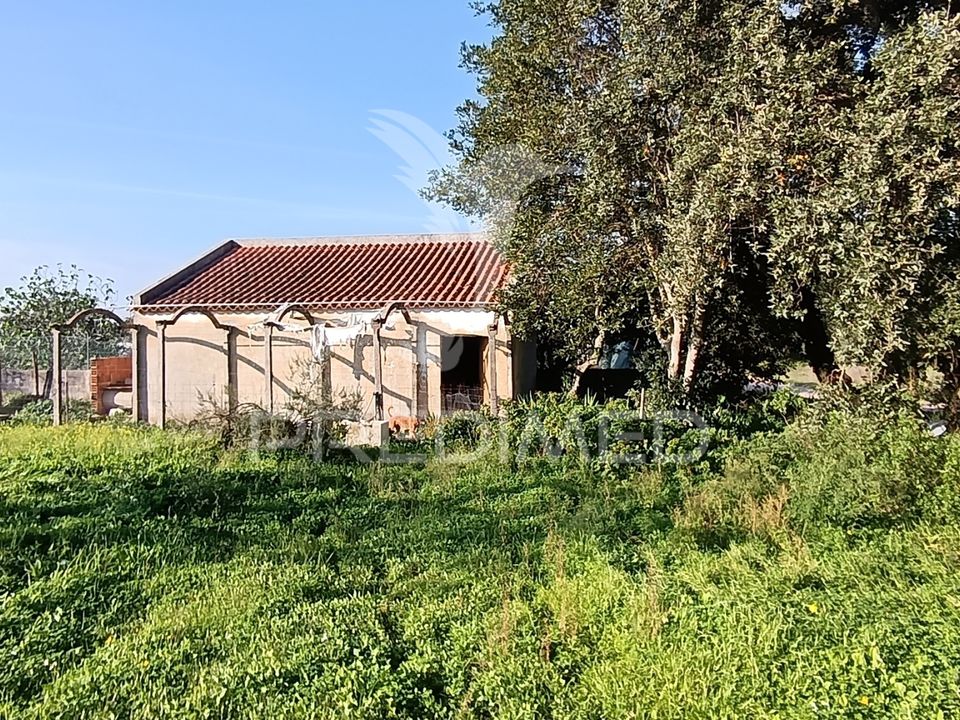 Helårsgrund i Palmela, Setubal - foto 2