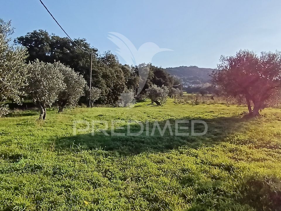 Helårsgrund i Palmela, Setubal - foto 5