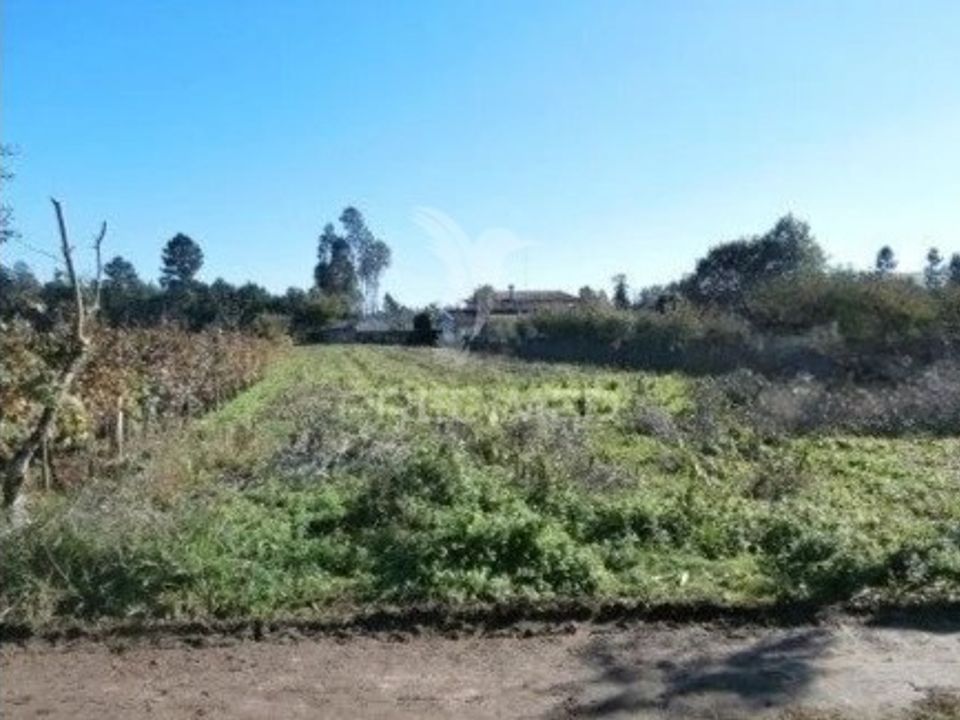 Helårsgrund i Agueda, Aveiro - foto 4