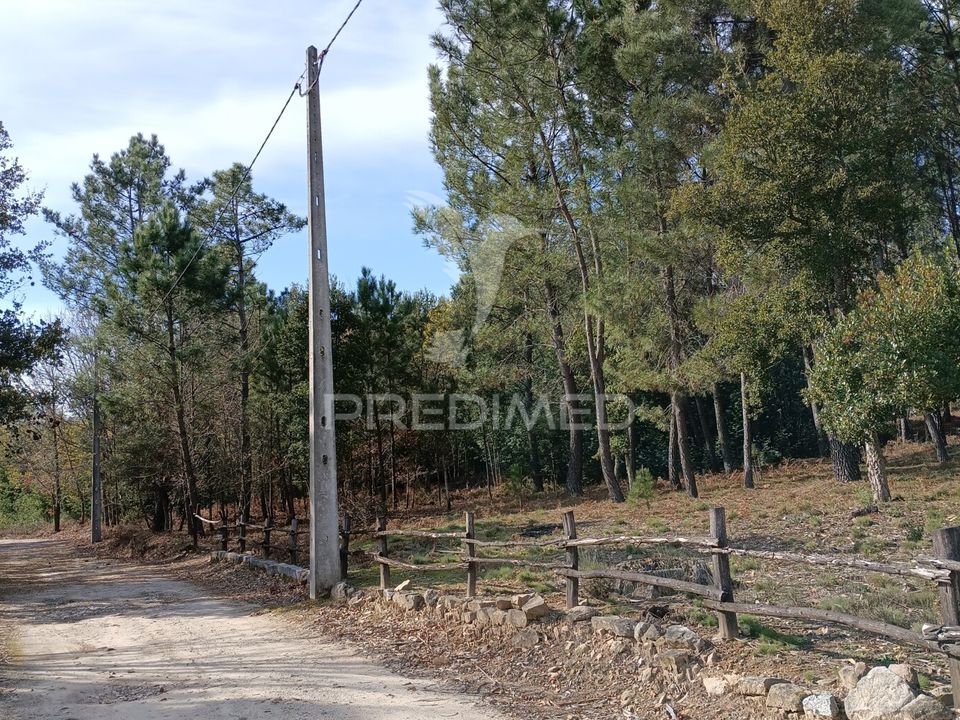 Helårsgrund i Mangualde, Viseu - foto 1