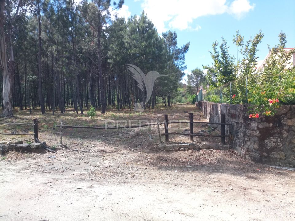 Helårsgrund i Mangualde, Viseu - foto 2