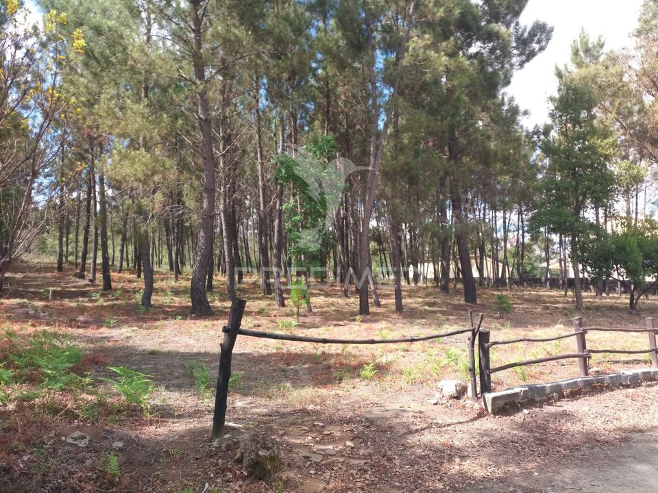 Helårsgrund i Mangualde, Viseu - foto 4