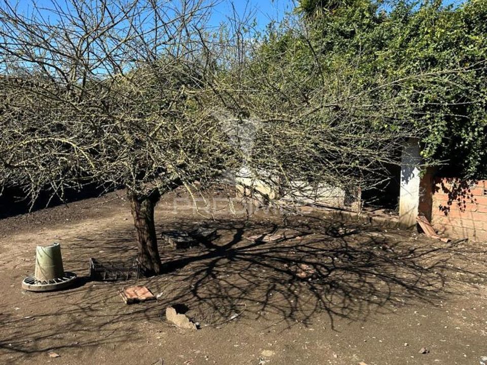 Helårsgrund i Rio Maior, Santarem - foto 4
