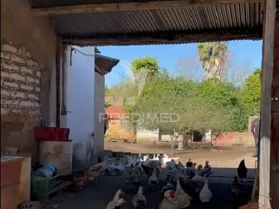Helårsgrund i Rio Maior, Santarem - foto 5