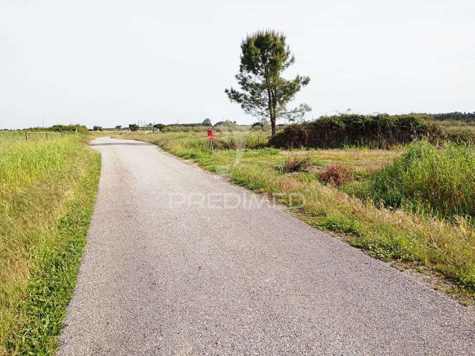 Helårsgrund i Alpiarca, Santarem - foto 2
