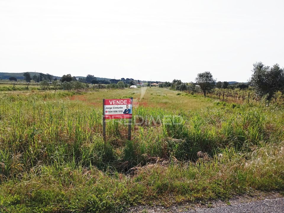Helårsgrund i Alpiarca, Santarem - foto 4