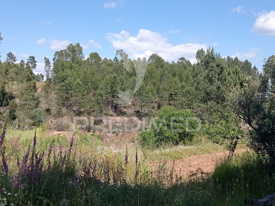 Ruinere i Macao, Santarem - foto 3