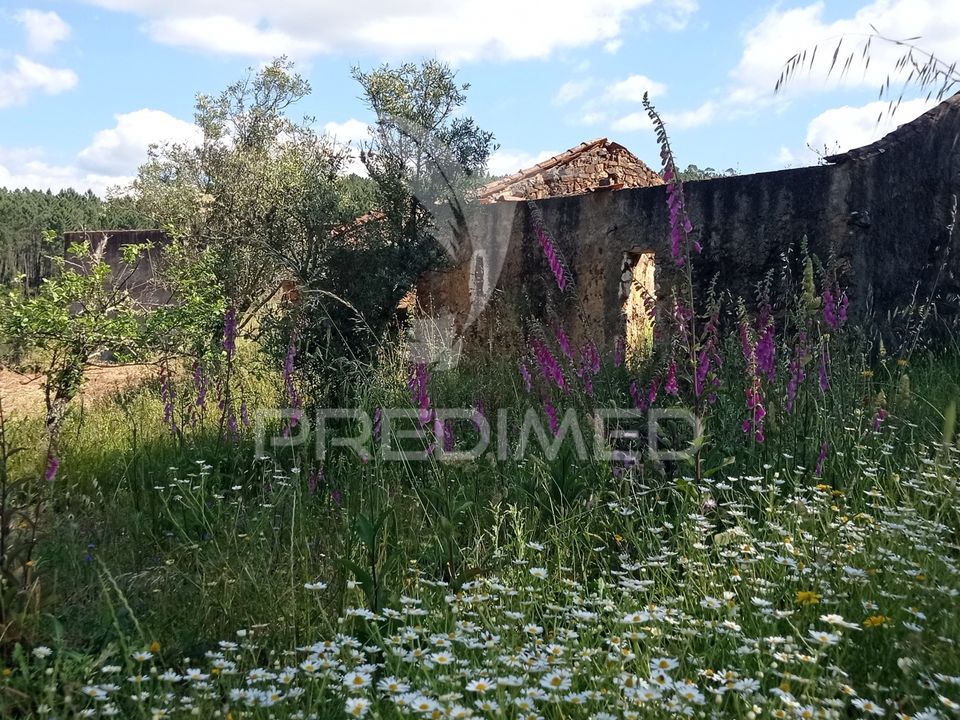 Ruinere i Macao, Santarem - foto 4