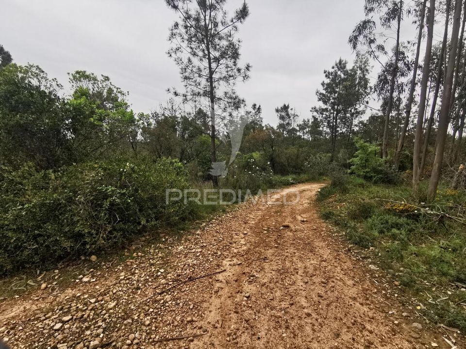 Helårsgrund i Vila Nova da Barquinha, Santarem - foto 1