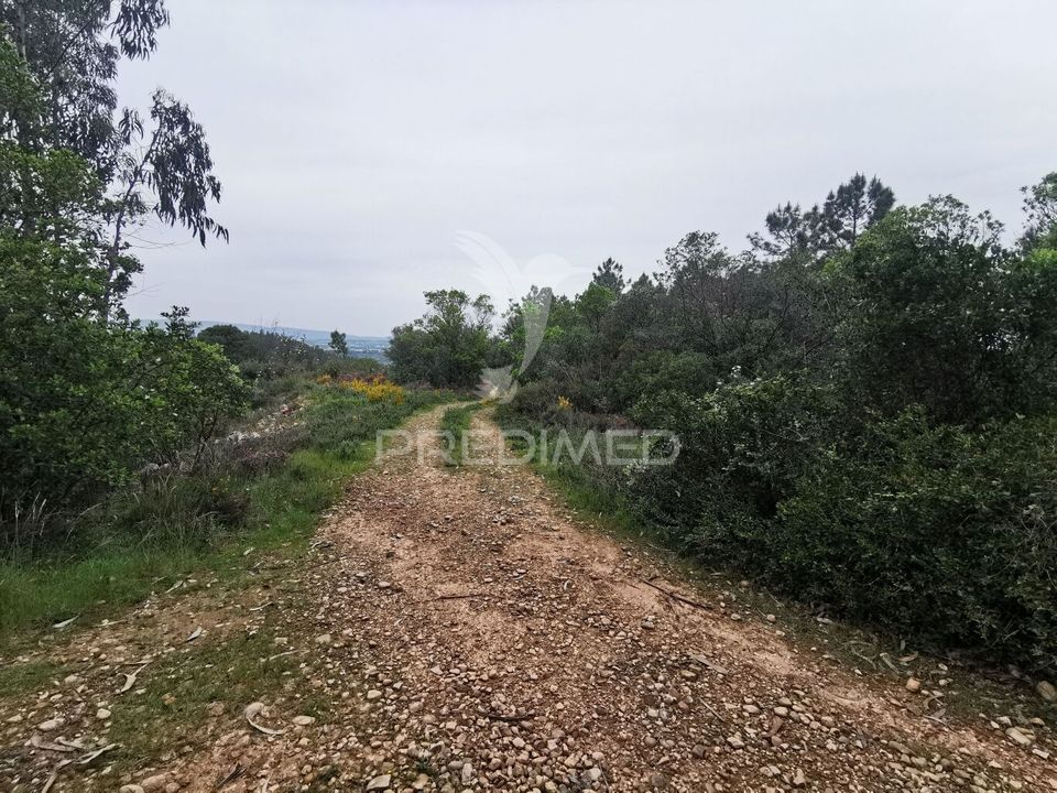 Helårsgrund i Vila Nova da Barquinha, Santarem - foto 2