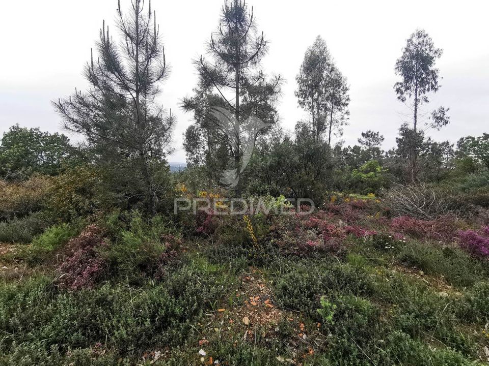 Helårsgrund i Vila Nova da Barquinha, Santarem - foto 5