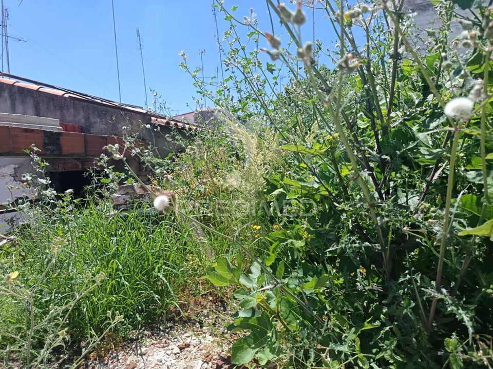 Byhus i Campo Maior, Portalegre - foto 3