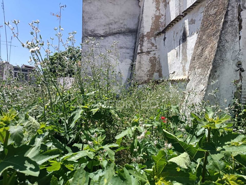 Byhus i Campo Maior, Portalegre - foto 5