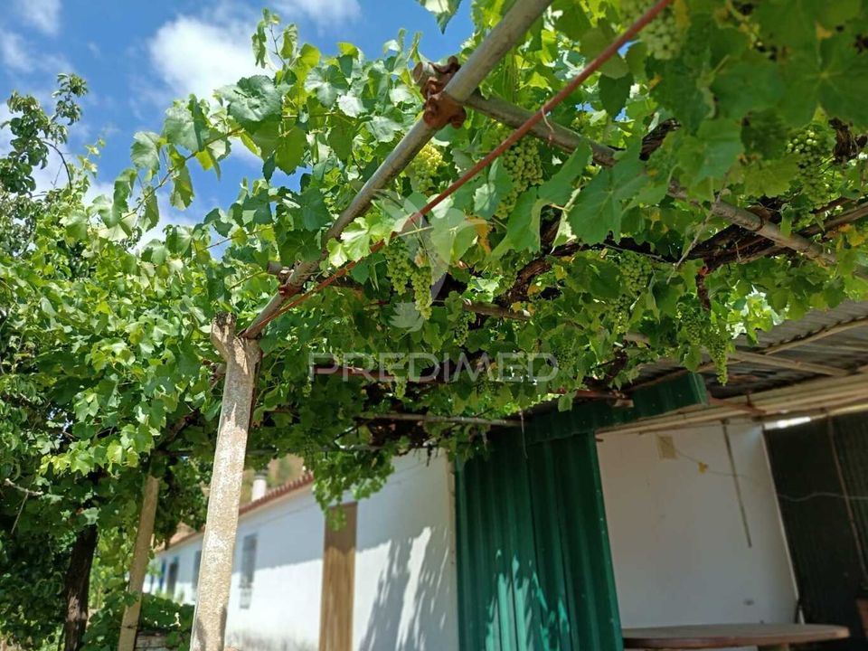 Farm hus i Almodovar, Beja - foto 5