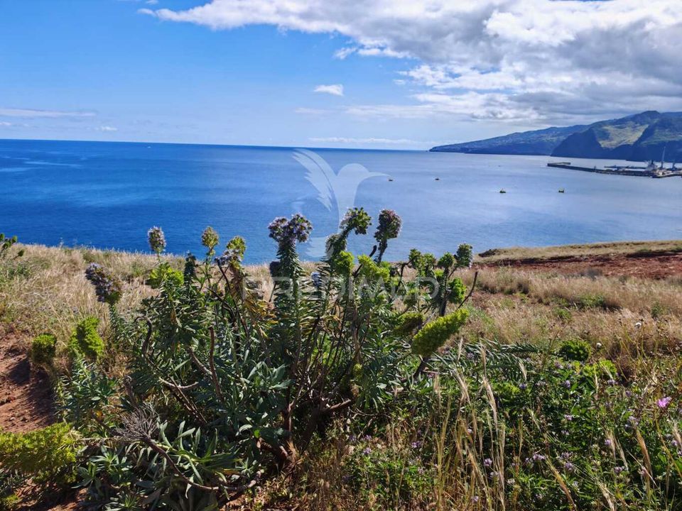 Helårsgrund i Machico, Madeira - foto 1