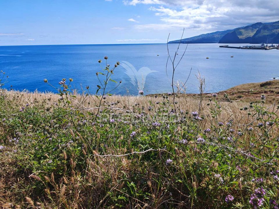 Helårsgrund i Machico, Madeira - foto 3