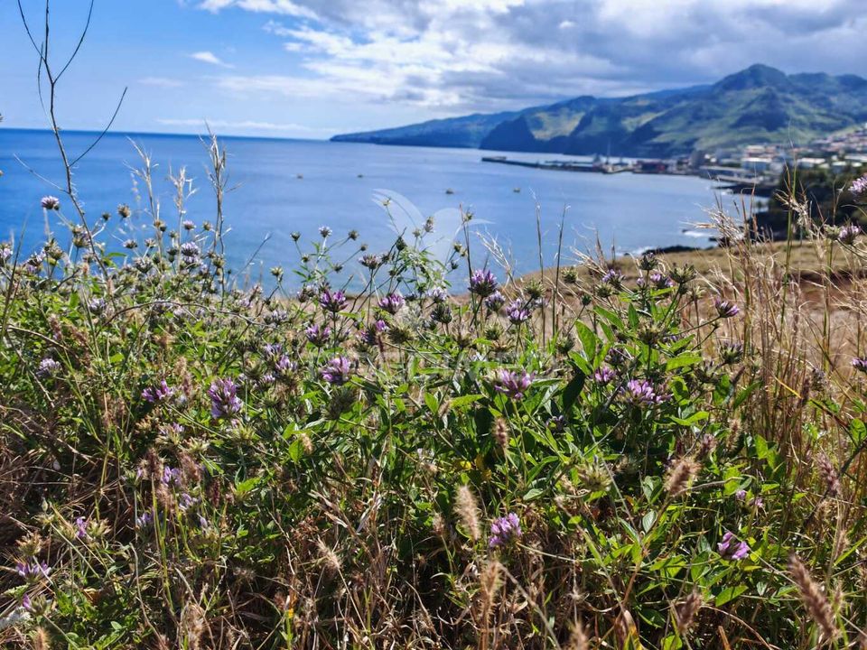 Helårsgrund i Machico, Madeira - foto 5