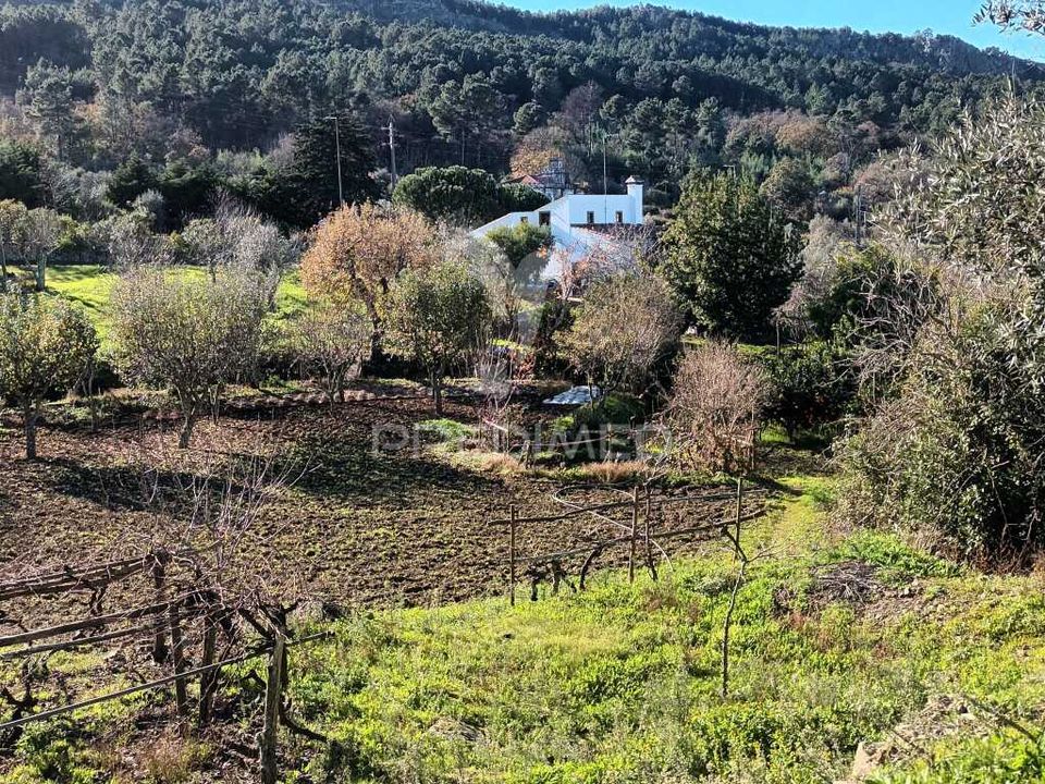 Farm hus i Castelo de Vide, Portalegre - foto 1