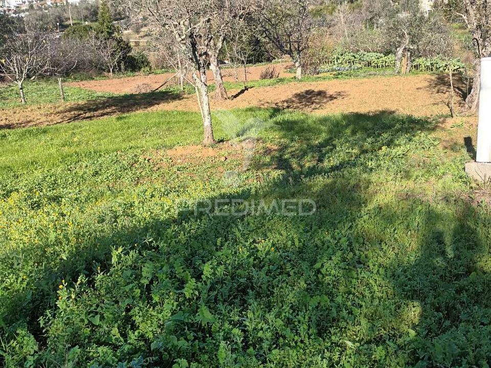 Farm hus i Castelo de Vide, Portalegre - foto 2