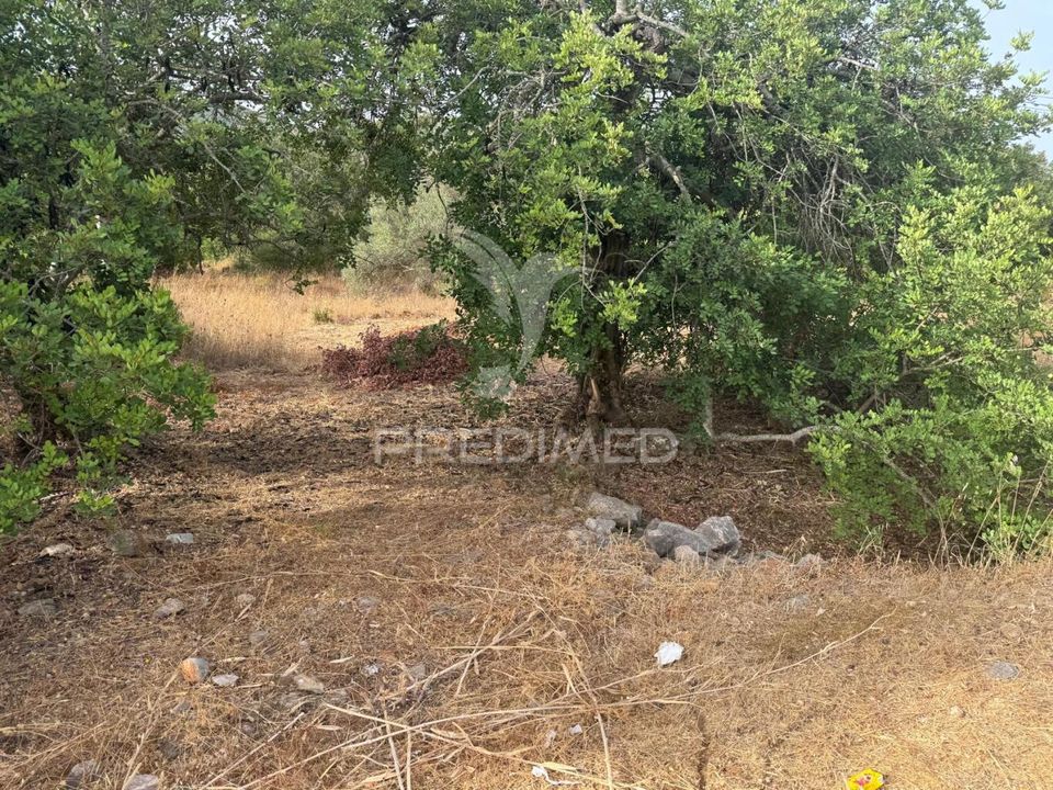 Helårsgrund i Sao Bras de Alportel, Faro - foto 2