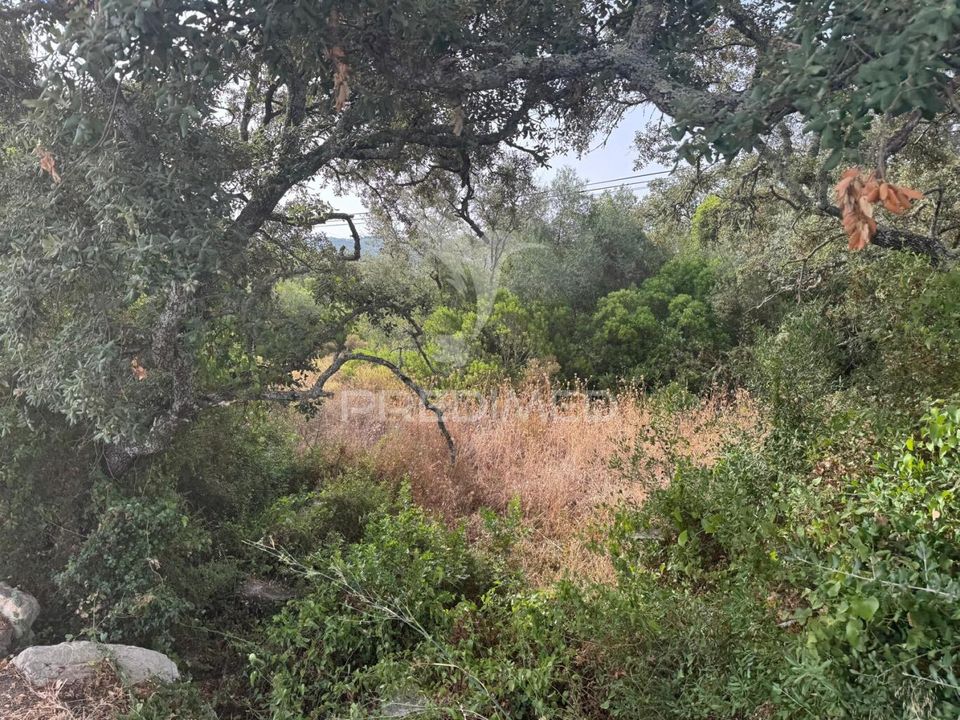 Helårsgrund i Sao Bras de Alportel, Faro - foto 5