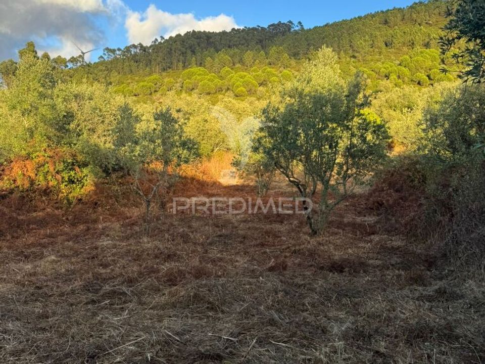 Helårsgrund i Porto de Mos, Leiria - foto 5